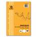Olympic Loose Leaf Refill 8mm Ruled with Red Margin 7 Holes A4 50 leaf