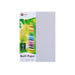 Quill Coloured Paper 80gsm A4 Pack 100 Grey