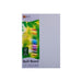 Quill Coloured Board 210gsm A4 Pack 50 Grey