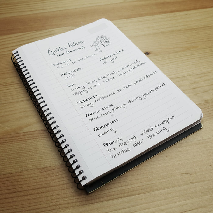 Quill Q Series Notebook 70gsm PP A5 200 Pages Black