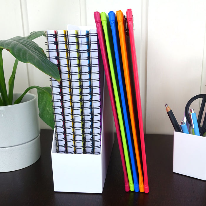 Bantex Fruits Clipfolders PVC A4 Pack 10 Assorted