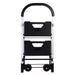 Durus Folding 2 Step Ladder/Trolley