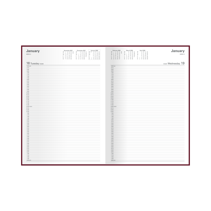 2028 Calendar Year Diary/Planner - 12 Month A4 Day to Page Diary - Hard Cover - Collins Appointment