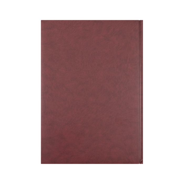 2027 Calendar Year Diary/Planner - 12 Month A4 Day to Page, 15 mins - Hard Cover - Collins