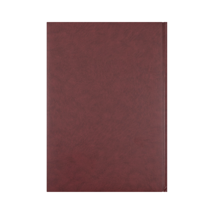 2027 Calendar Year Diary/Planner - 12 Month A4 2 Pages to a Day Diary - Hard Cover - Collins