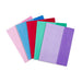 Contact Book Sleeves Tints A4 PK25
