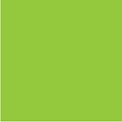 Colourful Days Flouro Board 250GSM Project Size 510 X 640MM Green