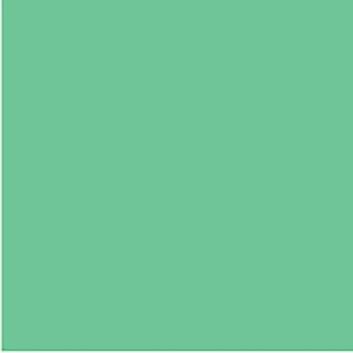 Colourful Days Colourboard 200GSM Project Size 510 X 640MM Green