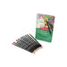 Derwent Academy Colour Pencil Tin 12