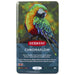 Derwent Chromaflow Pencils Tin 12