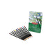 Derwent Academy Watercolour Pencil Tin 12
