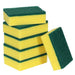 Northfork Sponge with Scourer PK6