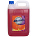 Northfork Foaming Hand Wash Orange Antib 5L