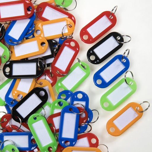 Esselte Key Tags Bag 100 Assorted