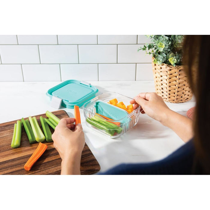 PackIt Mod Snack Bento (Assorted Colours)