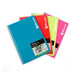 Micador Visual Art Diary A4 Assorted