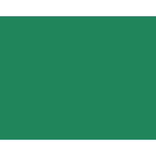 Quill Coloured Board 210gsm 510mm x 635mm Emerald