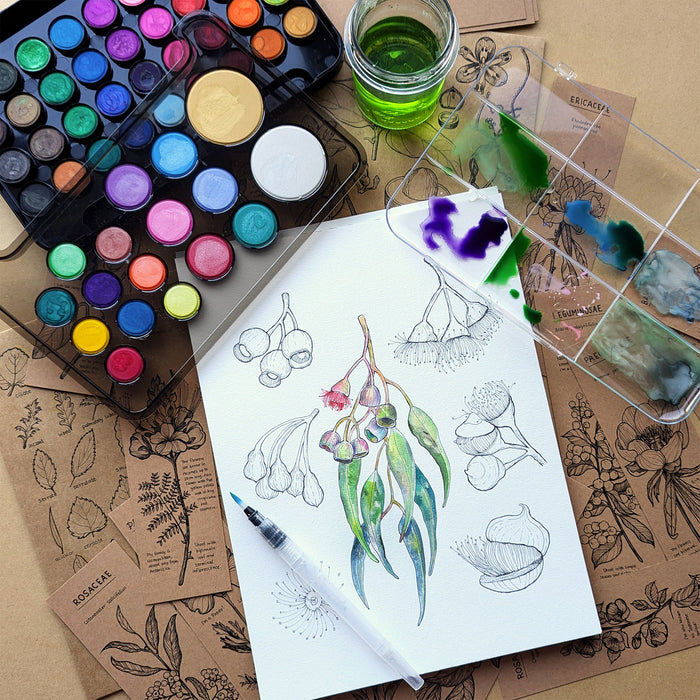 Micador Watercolour Palette Stylist Studio 53