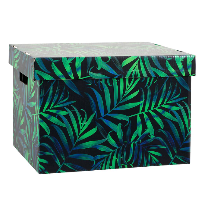 Marbig Patterned Archive Box (Assorted Colours)