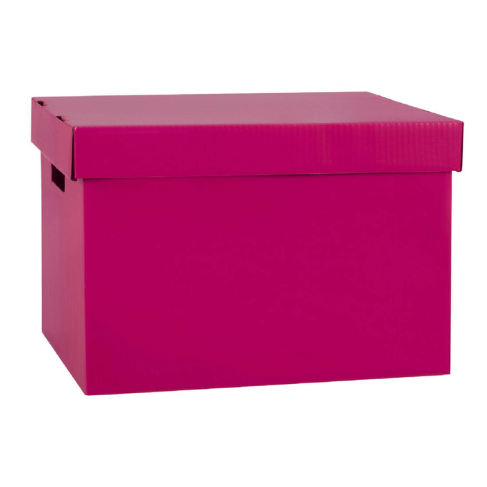 Marbig Patterned Archive Box (Assorted Colours)