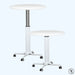 Visionchart Height Adjustable Breakroom Table 800 x 688-1058mm White BRT800