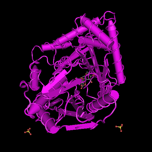 4ZXW: Crystal structure of SgcC5 protein from Streptomyces g