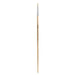 12 EXP 579 No. 3 Paint Brushes
