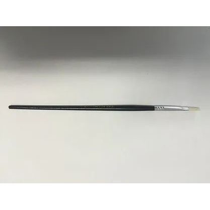 12 EXP 577 No. 2 Paint Brushes