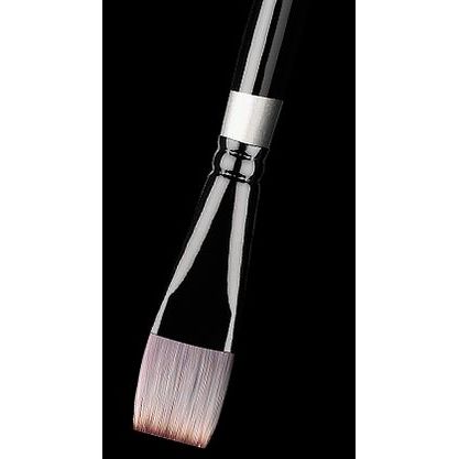 12 EXP 577 No. 12 Paint Brushes